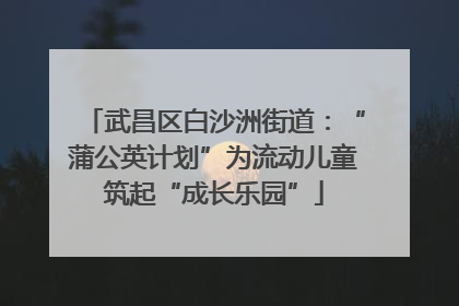 武昌区白沙洲街道：“蒲公英计划”为流动儿童筑起“成长乐园”